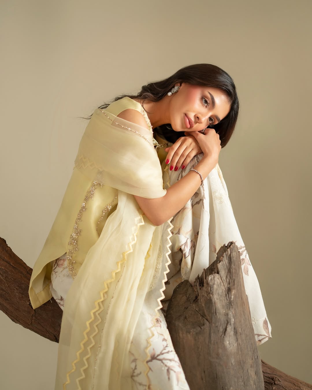Ryna organza shirt with handcrafted daman work