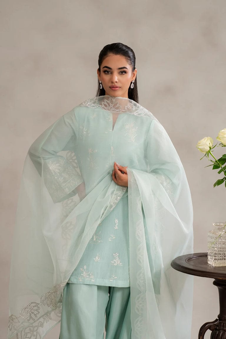 ZQ-12 embroidered raw silk suit with farshi shalwar.