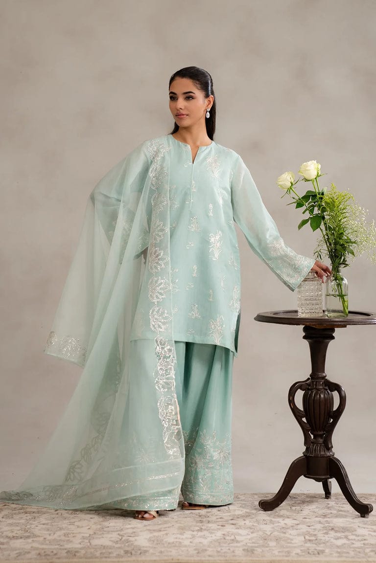 ZQ-12 elegant raw silk outfit with embroidered dupatta.
