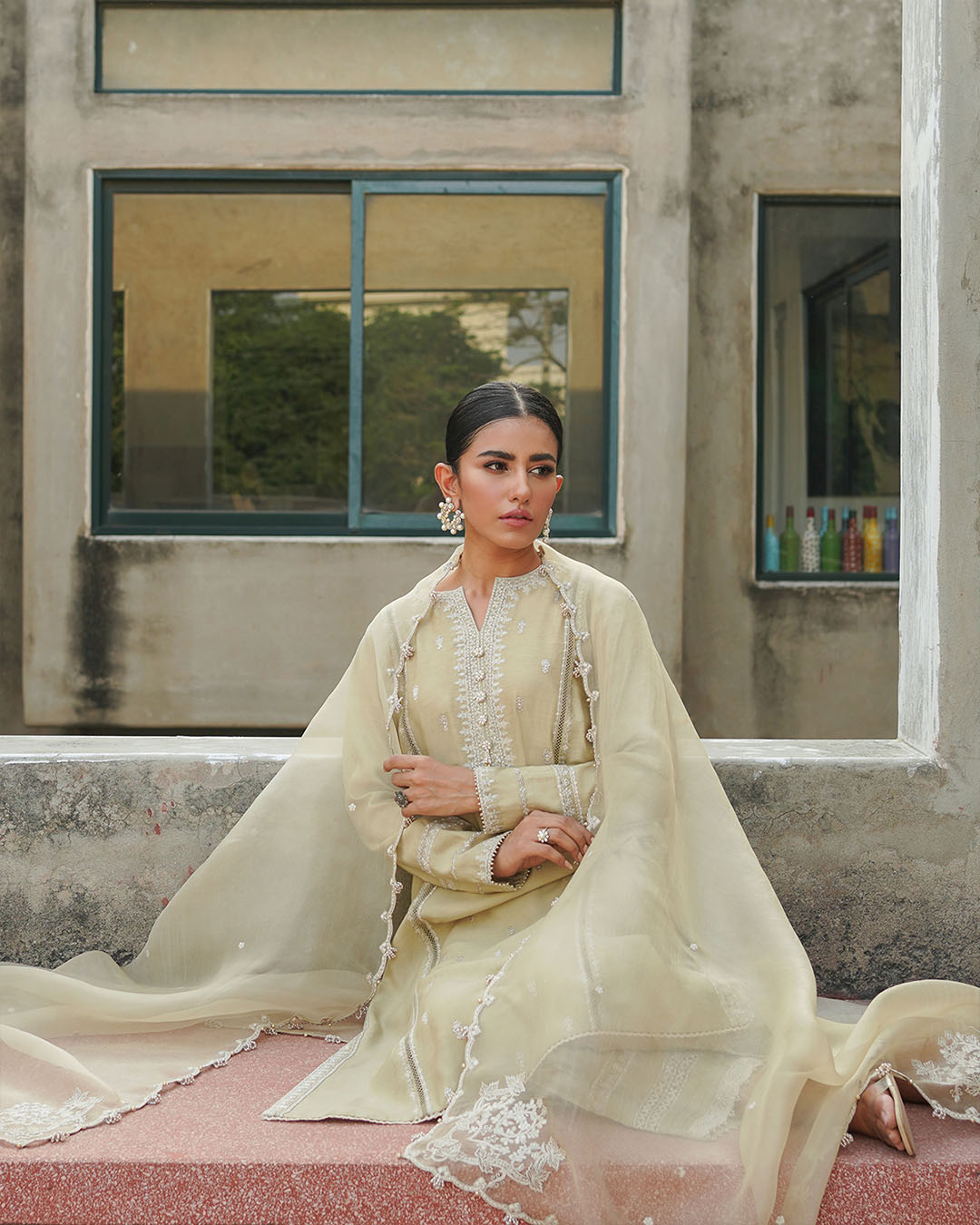 Zanara organza dupatta with patchwork design